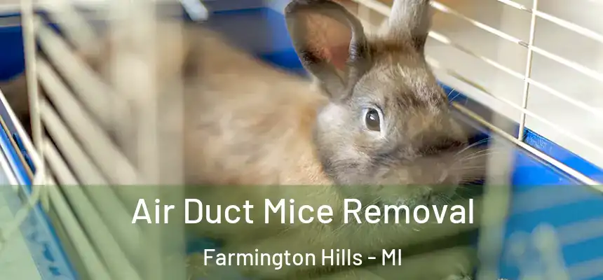  Air Duct Mice Removal Farmington Hills - MI