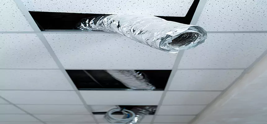 Our Air Duct Pet Hair Removal Services in Farmington Hills, MI