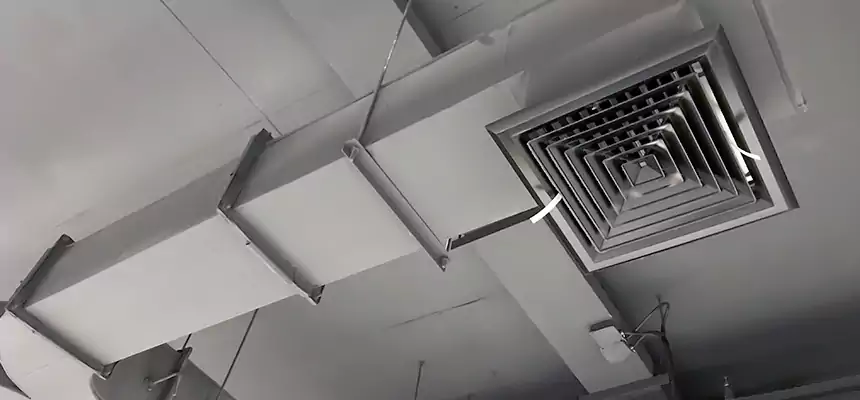 Restorative Allergy Relief Vent Cleaning – Coil, Blower & Housing Detail in Farmington Hills