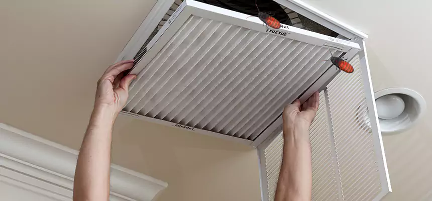 Our Insect Removal from Air Ducts Services in Farmington Hills, MI