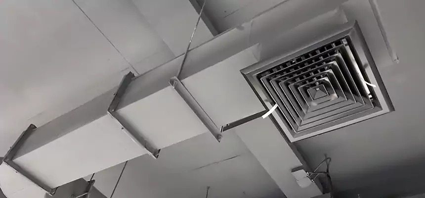 Our Pest Removal From Ducts Services in Farmington Hills, MI