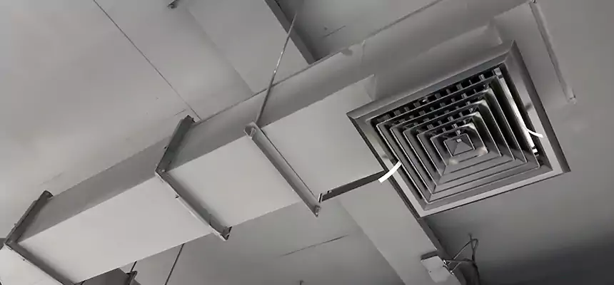 Our Rodent Droppings In Vents Services in Farmington Hills, MI