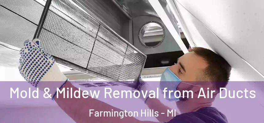  Mold & Mildew Removal from Air Ducts Farmington Hills - MI
