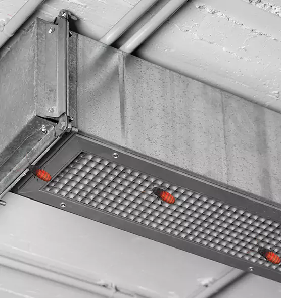 About Air Duct Cockroach Removal in Farmington Hills, MI