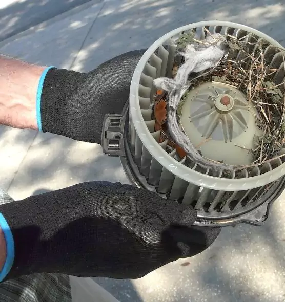 About Air Duct Rat Removal in Farmington Hills, MI