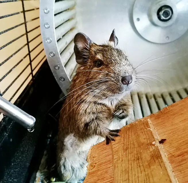 Why Homeowners & Businesses Trust Us Farmington Hills, MI